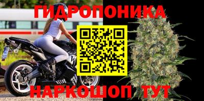 MDMA Краснознаменск