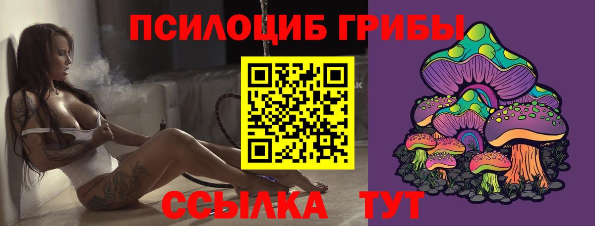 Псилоцибиновые грибы Psilocybine cubensis  Вход с VPN  Псилоцибиновые грибы Psilocybe  Ковров 